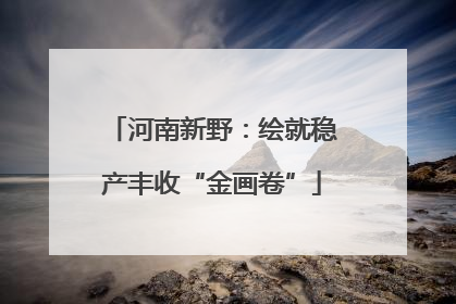 河南新野：绘就稳产丰收“金画卷”